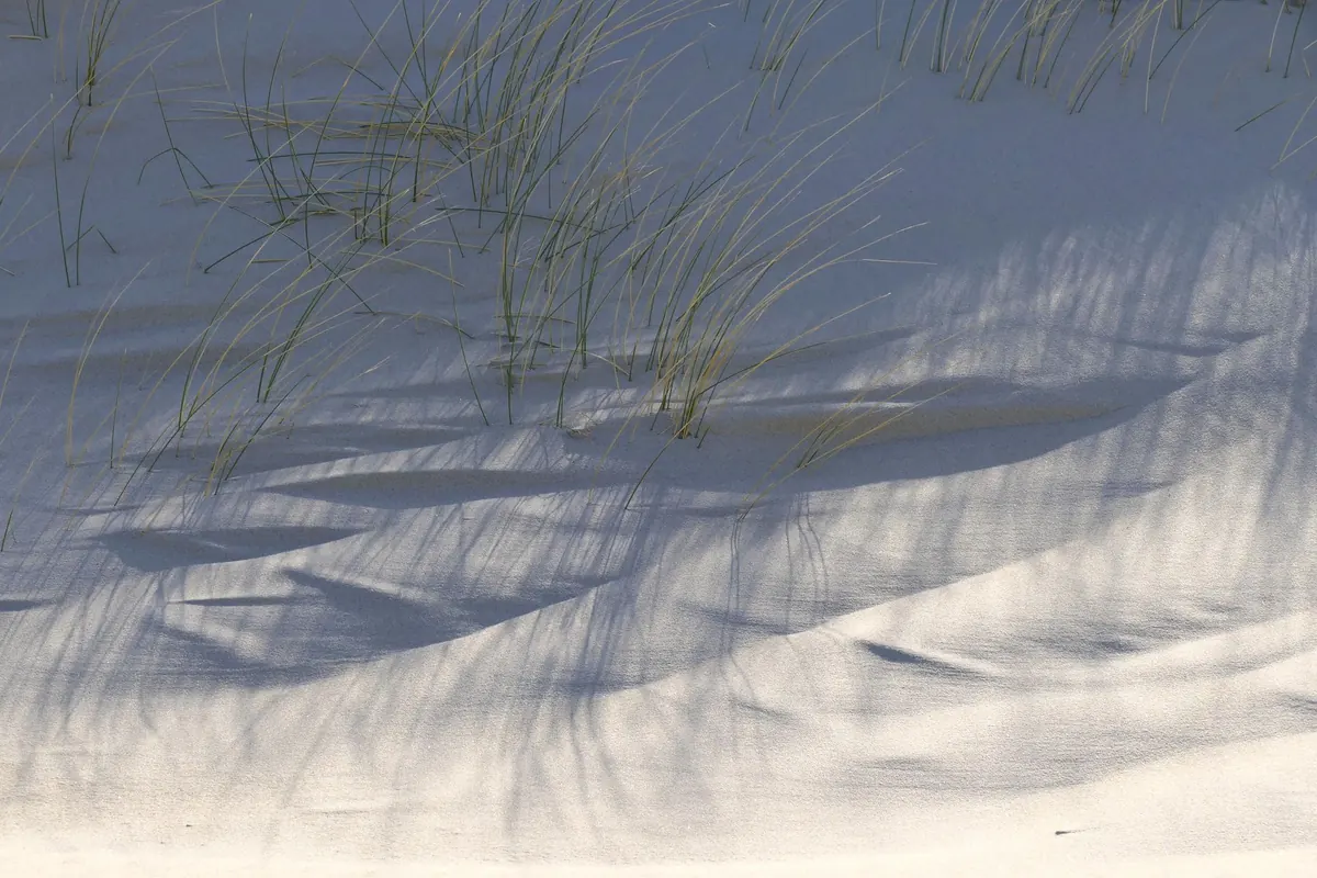 How to Read a Dune Profile: A Beginner's Field Guide