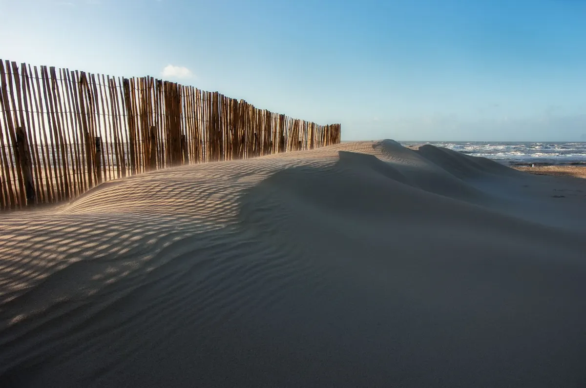 Seven Common Mistakes in Coastal Dune Restoration